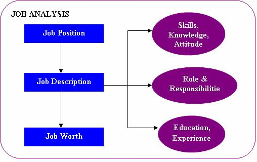 job-analysis-human-resource-management-assignment-help